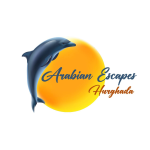 Digital-Minds-Clint-logo-15